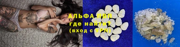 мяу мяу мука Инта