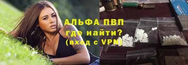 гашик Инсар