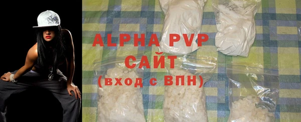 гашик Инсар