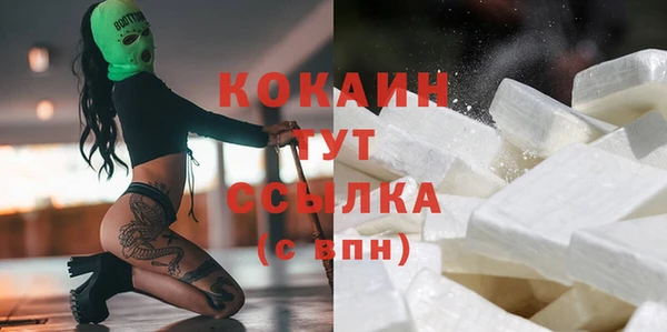 гашик Инсар