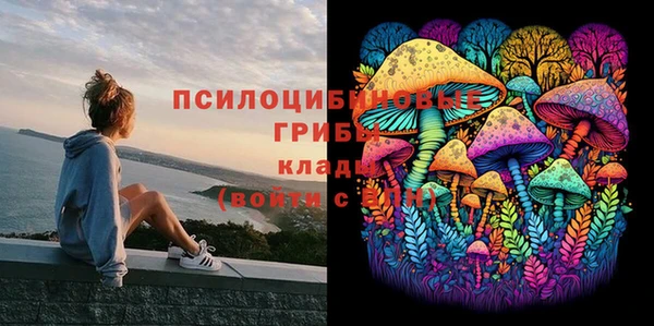 дурь Иннополис