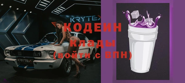 гашик Инсар