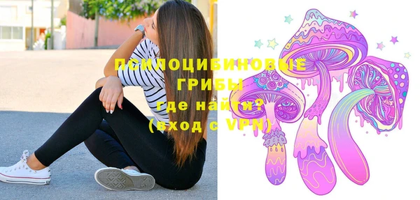 мяу мяу мука Инта