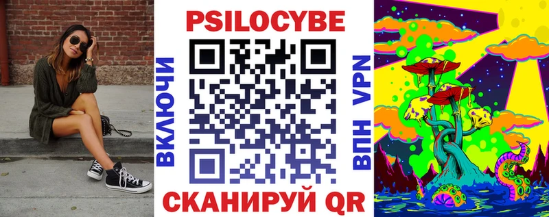 Галлюциногенные грибы Psilocybe  Купить где  Карачев 
