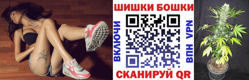 Купить закладки  Карачев  Бошки Шишки SATIVA & INDICA 